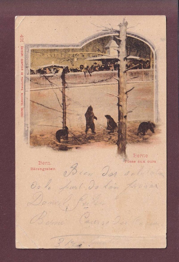 BERN - Bärengraben - 1899 CPN // Eckbüge //