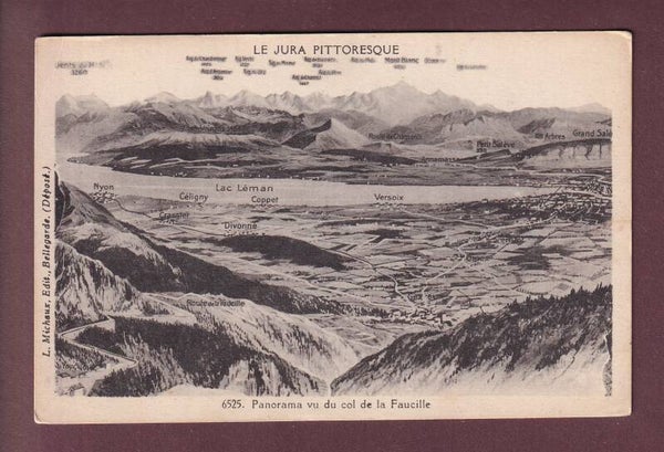 GENEVE et environs - Vol d'oiseau