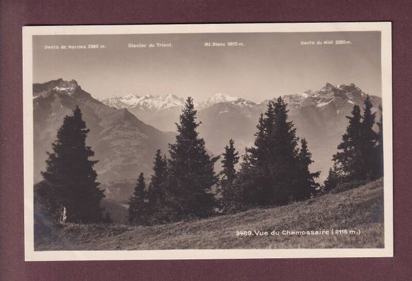Vue depuis le CHAMOSSAIRE