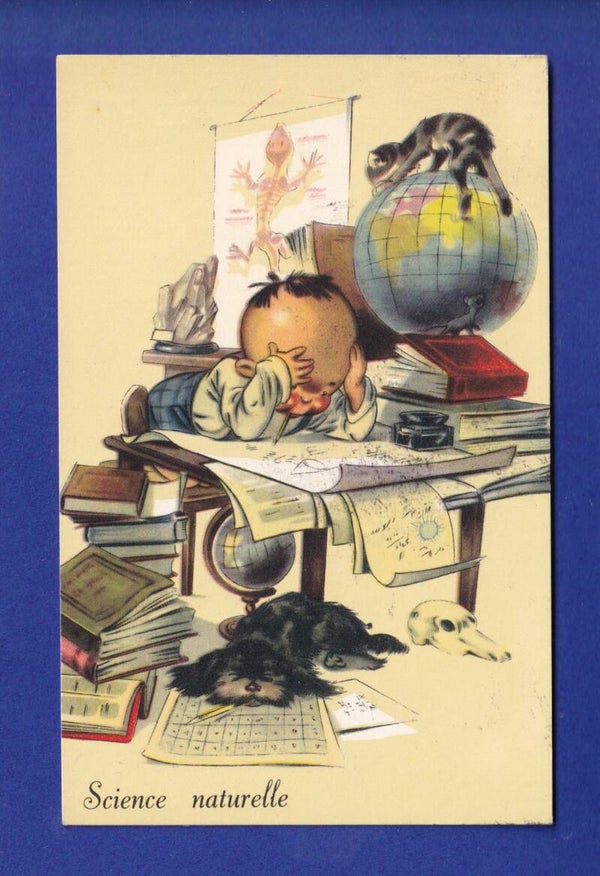 ENFANT - Garçon aux études - Science naturelle
