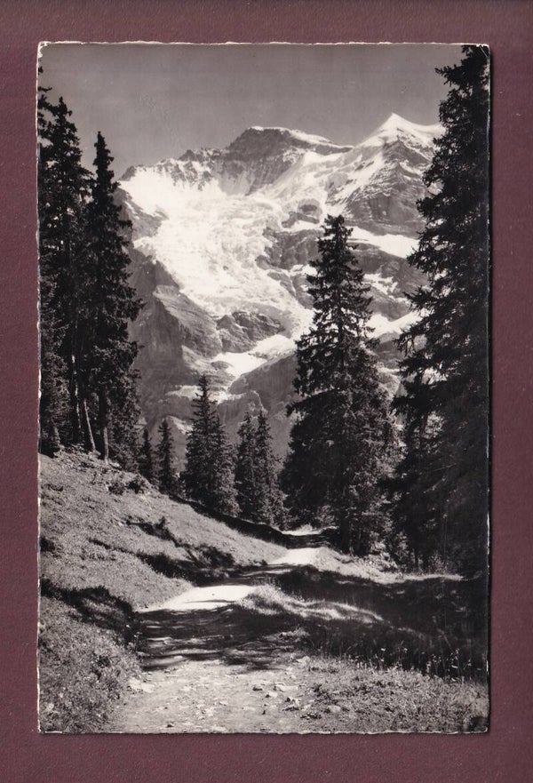 Wengen - Weg nach METTLENALP - Jungfrau