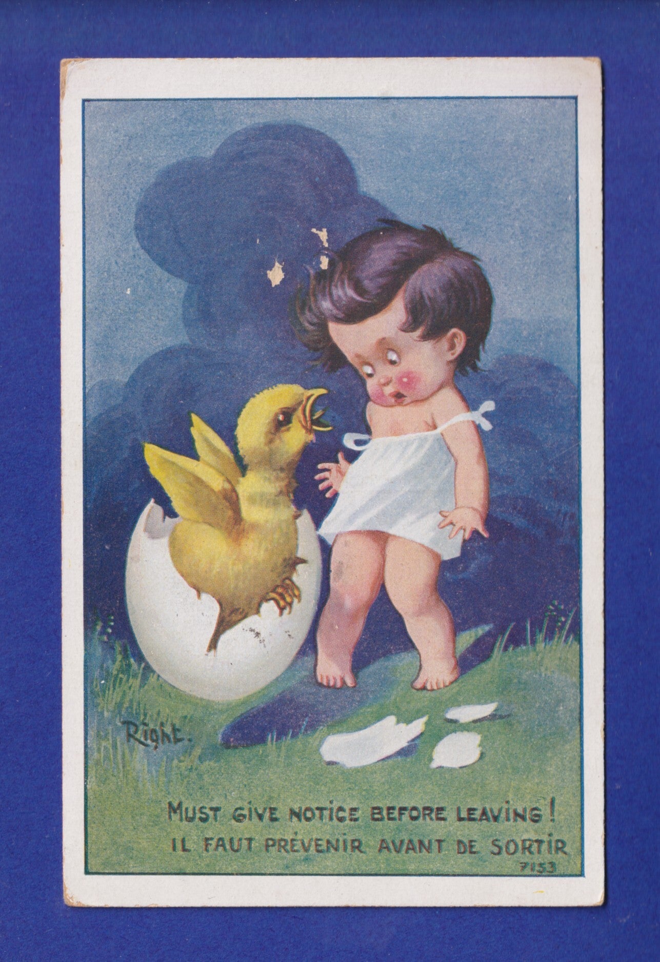 ENFANT - Petite fille surprise par l'éclosion d'un poussin - Right