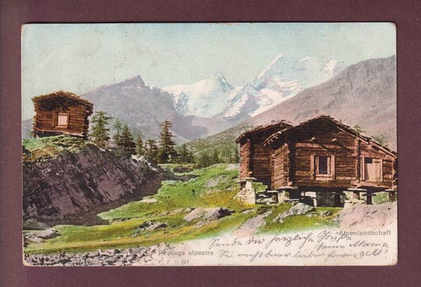 PAYSAGE ALPESTRE - Mazots - 1904 CPN