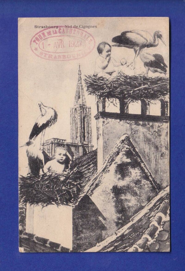 ENFANT - Bébé et cigogne à Strasbourg