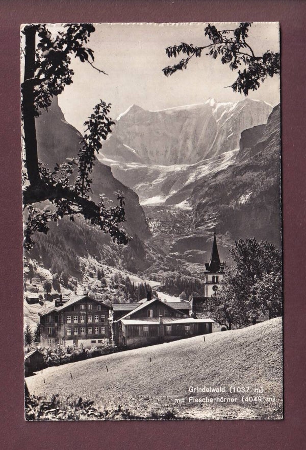GRINDELWALD - Fiescherhörner - 1961