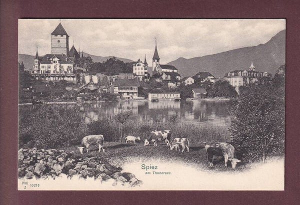 SPIEZ - Teil mit Kühe