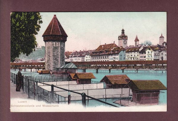 LUZERN - Schwanencolonie - Wasserturm - 1908