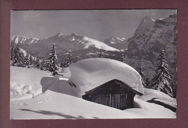 MÜRREN - Landschaft im Wintertal - 1966
