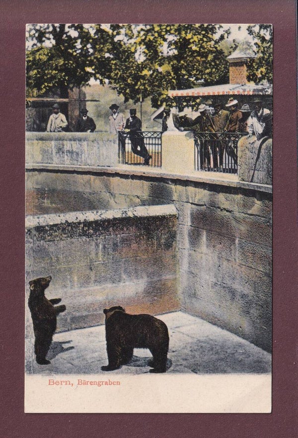 BERN - Bärengraben