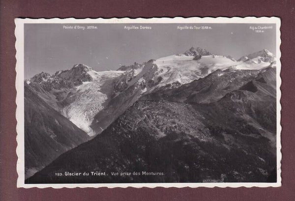 Glacier du TRIENT depuis les Montuires
