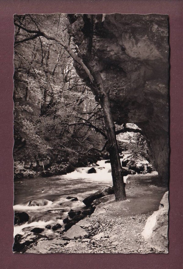 Dans les GORGES DE L'AREUSE