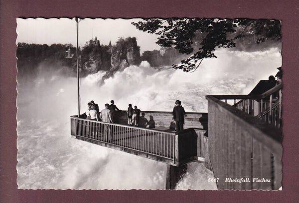 RHEINFALL - Fischez