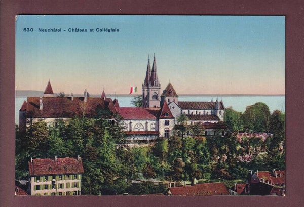 NEUCHÂTEL - Château et Collégiale