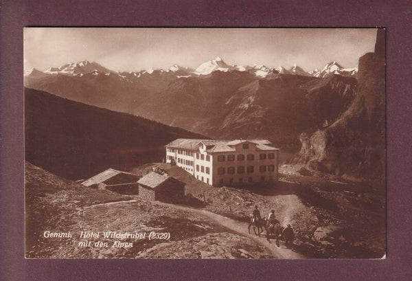 Gemmi - HOTEL WILDSTRUBEL - Esel