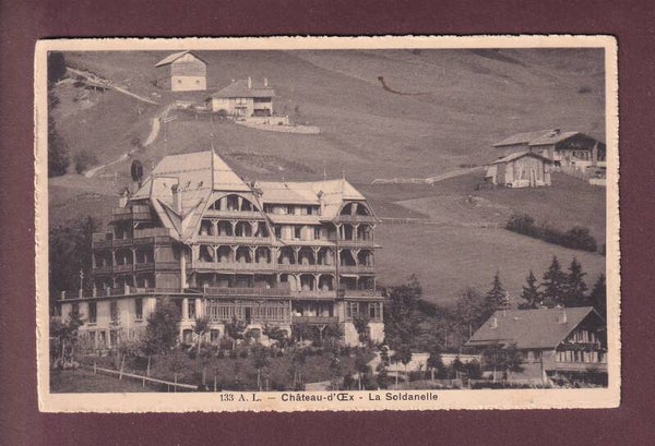 CHÂTEAU D'OEX - La Soldanelle