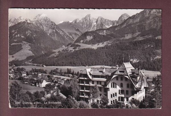 CHÂTEAU D'OEX - La Soldanelle
