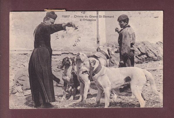GRAND-SAINT-BERNARD - Maître et chiens // pli d'angle //