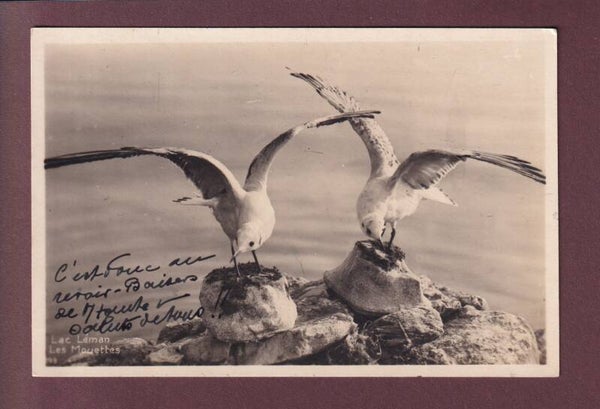 LAC LEMAN - Les mouettes - 1929