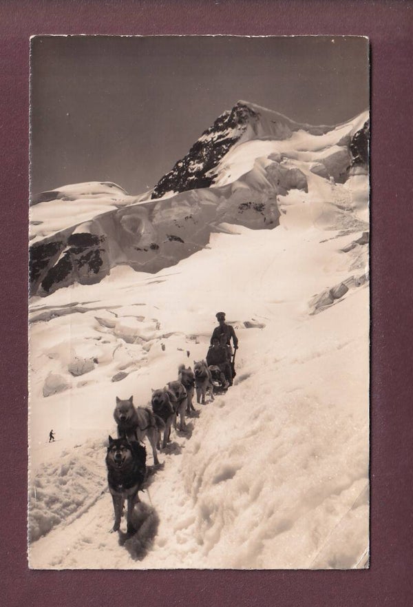 Jungfraubahn - POLARHUNDE - Rottalhorn - 1954