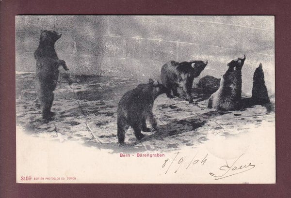 BERN - Bärengraben - 1904
