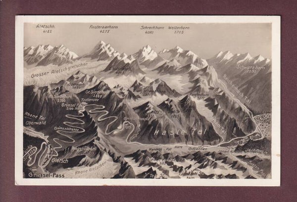 MEIRINGEN und Umgebung - Vogelschau - 1931