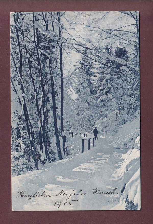 Winter - WALDWEG - 1904