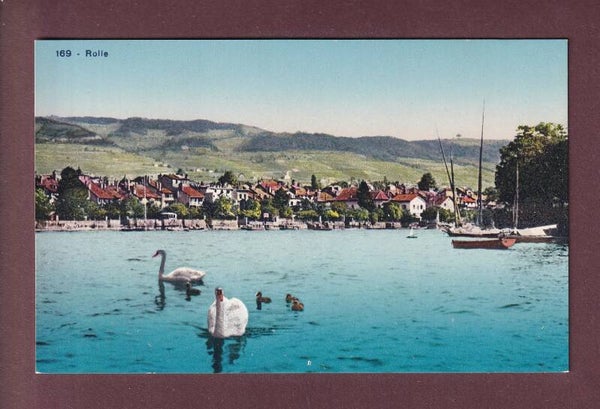 ROLLE depuis le lac - Cygnes