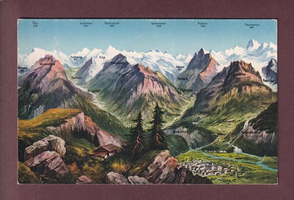 MEIRINGEN und Umgebung - Vogelschau