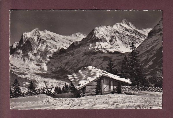 Bei GRINDELWALD - Wetterhorn - 1952
