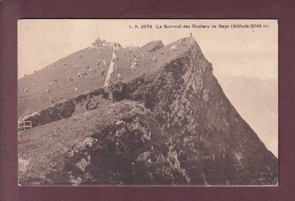 ROCHERS DE NAYE - Sommet avec vaches - 1910