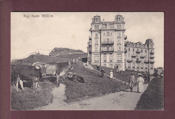 RIGI-KULM - Leute - Kühe