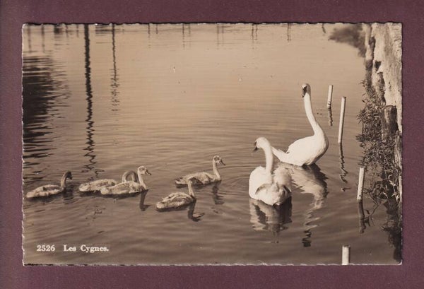 LES CYGNES - Feldpost