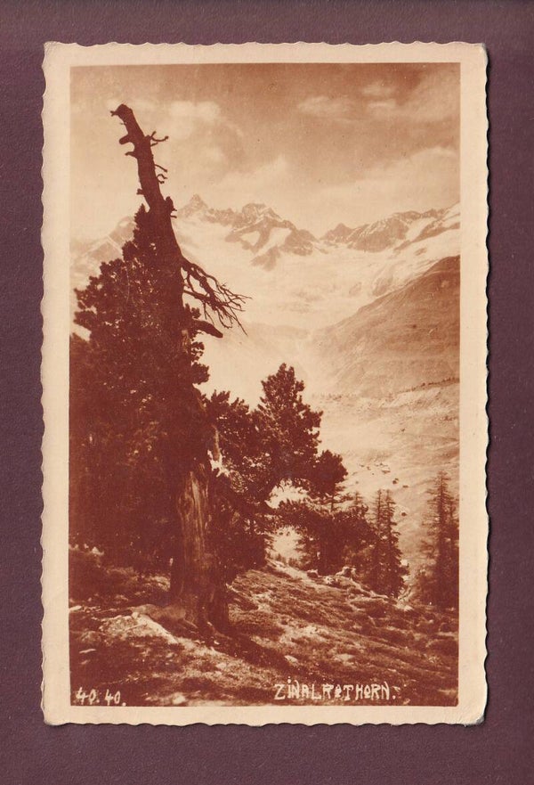 ZINAL ROTHORN - 1920
