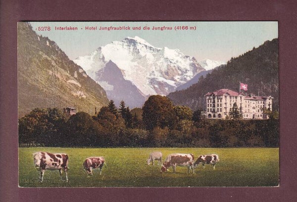 INTERLAKEN - Hotel Jungfraublick - Kühe