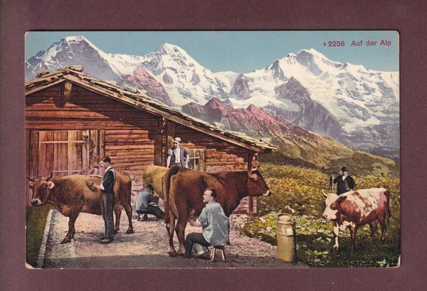 EIGER - MÖNCH - JUNGFRAU - Bauern - Kühe