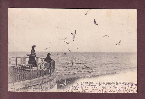 NEUCHÂTEL - Les Mouettes au Quai Osterwald - 1901
