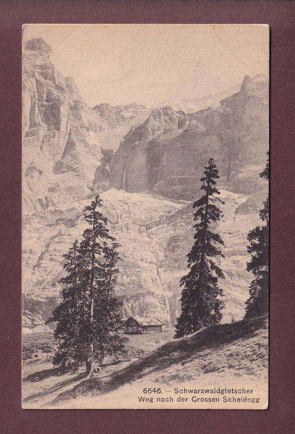 SCHWARZWALDGLETSCHER - Weg nach der Grossen Scheidegg - 1907