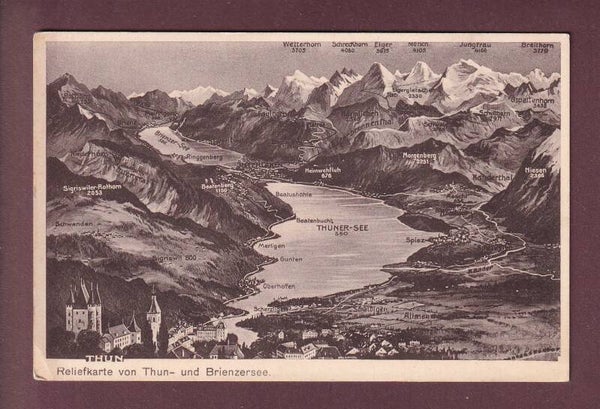 THUN und Umgebung - Vogelschau