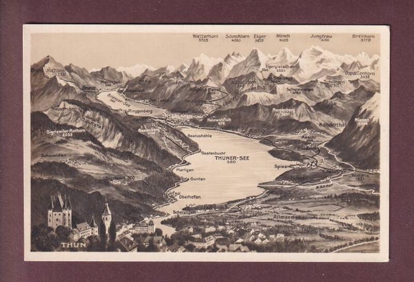 THUN und Umgebung - Vogelschau