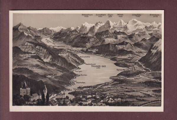 THUN und Umgebung - Vogelschau