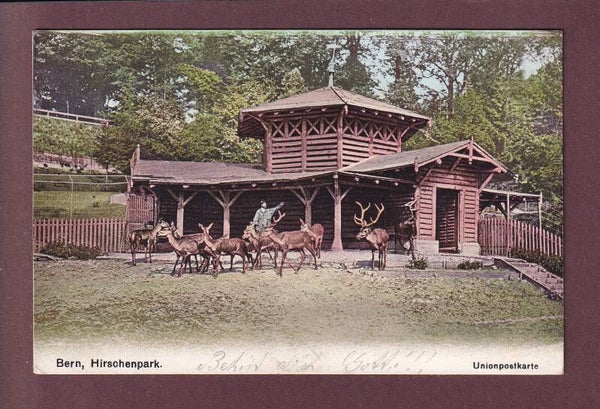 BERN - Hirschpark - 1906