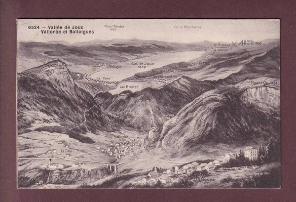 VALLORBE et environs - Vol d'oiseau - 1919