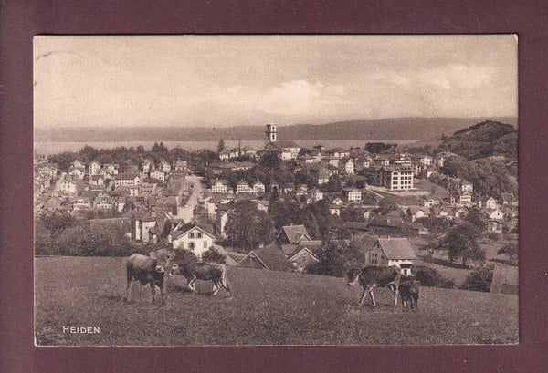 HEIDEN - Kühe (Montage) - 1911