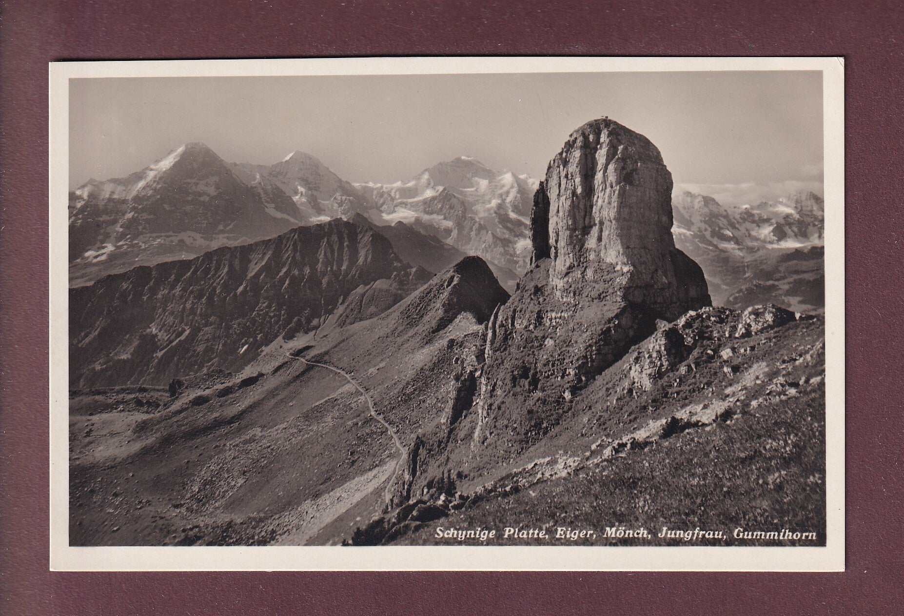 SCHYNIGE PLATTE - Gummihorn