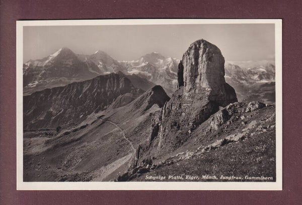 SCHYNIGE PLATTE - Gummihorn