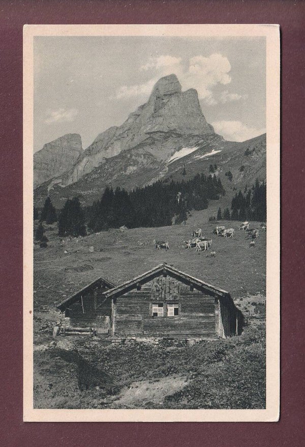 BRAUNWALDALP - Eckstöcken