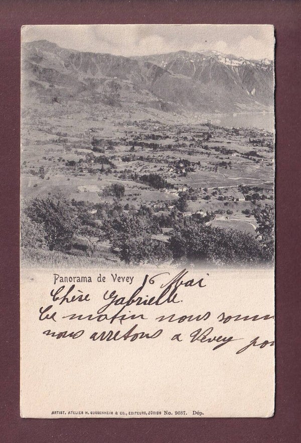 Panorama de VEVEY - 1904