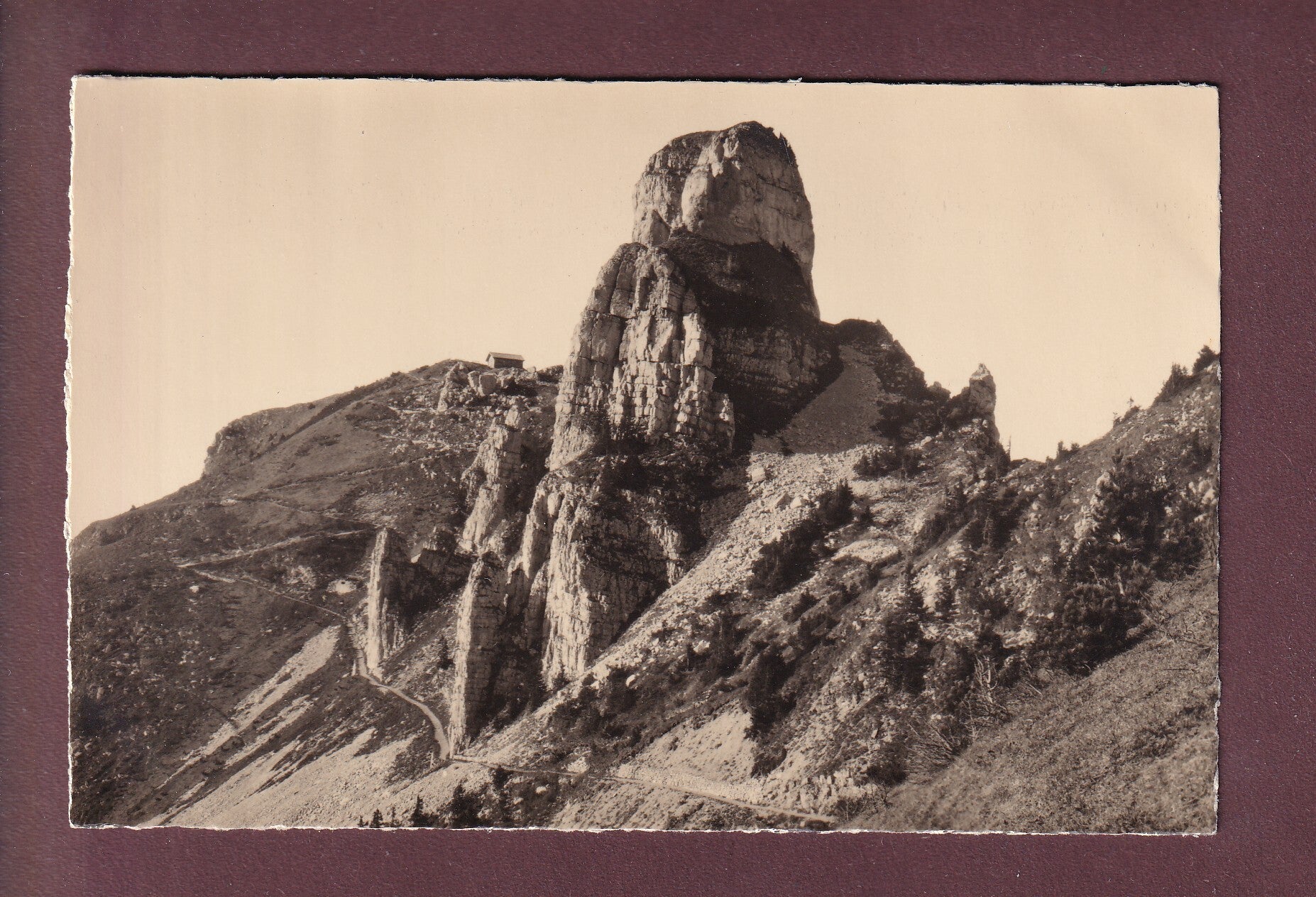 SCHYNIGE PLATTE - Gummihorn