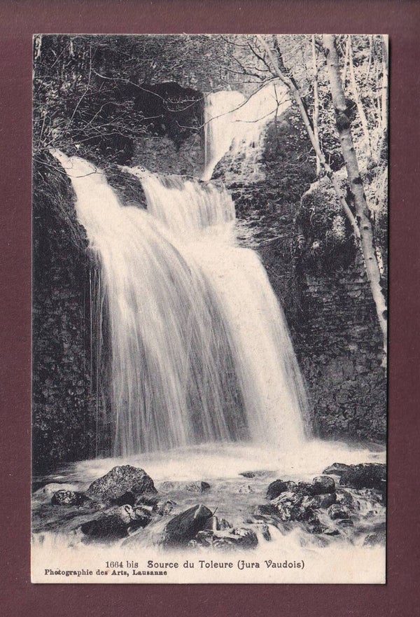 Source du TOLEURE