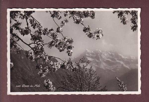 DENTS DU MIDI - 1940 // léger pli //